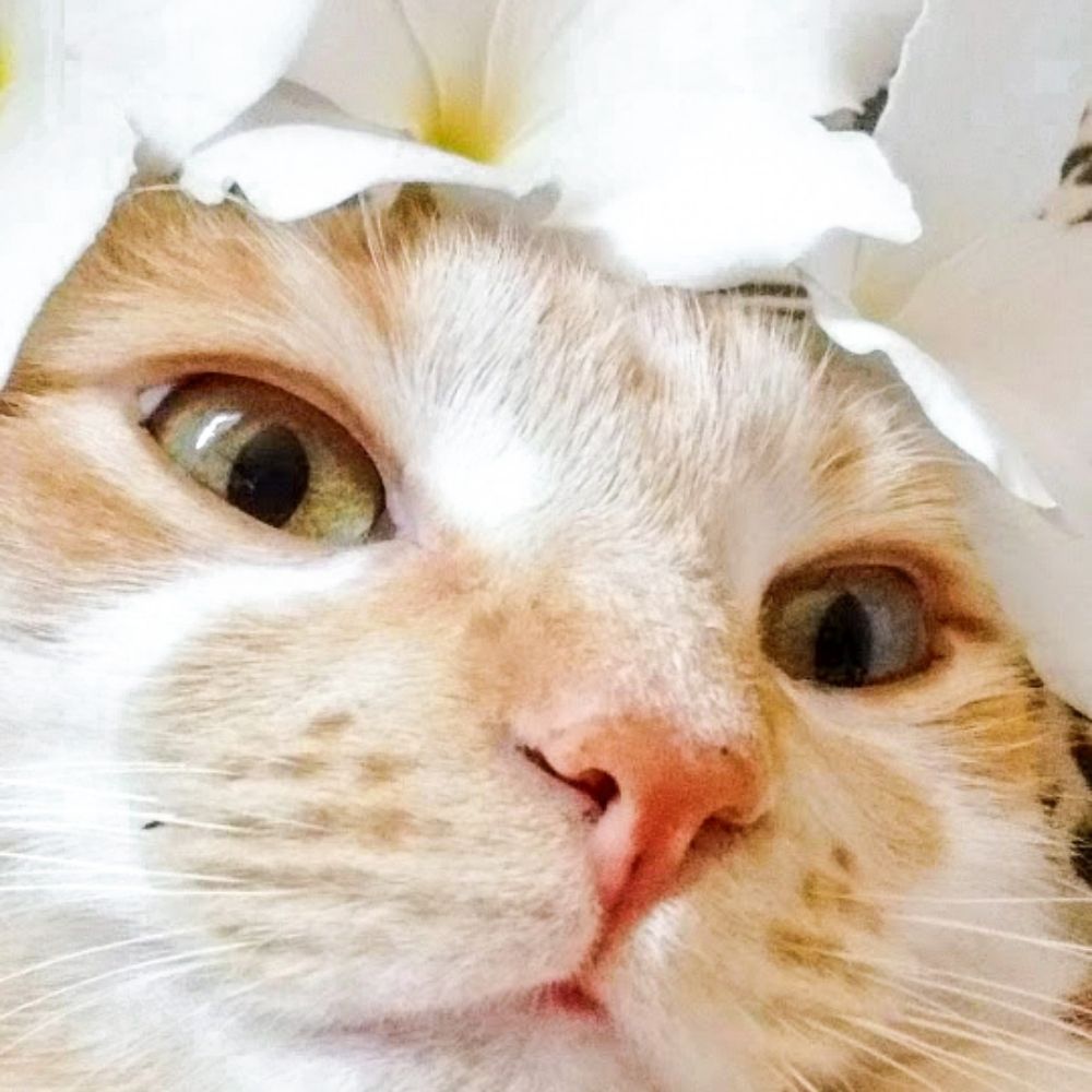 Lenara 🍅🌸