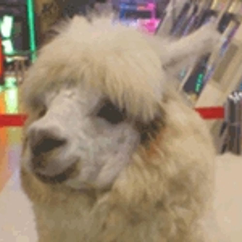 りめんば