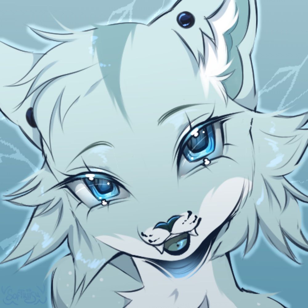Tundra ❄️