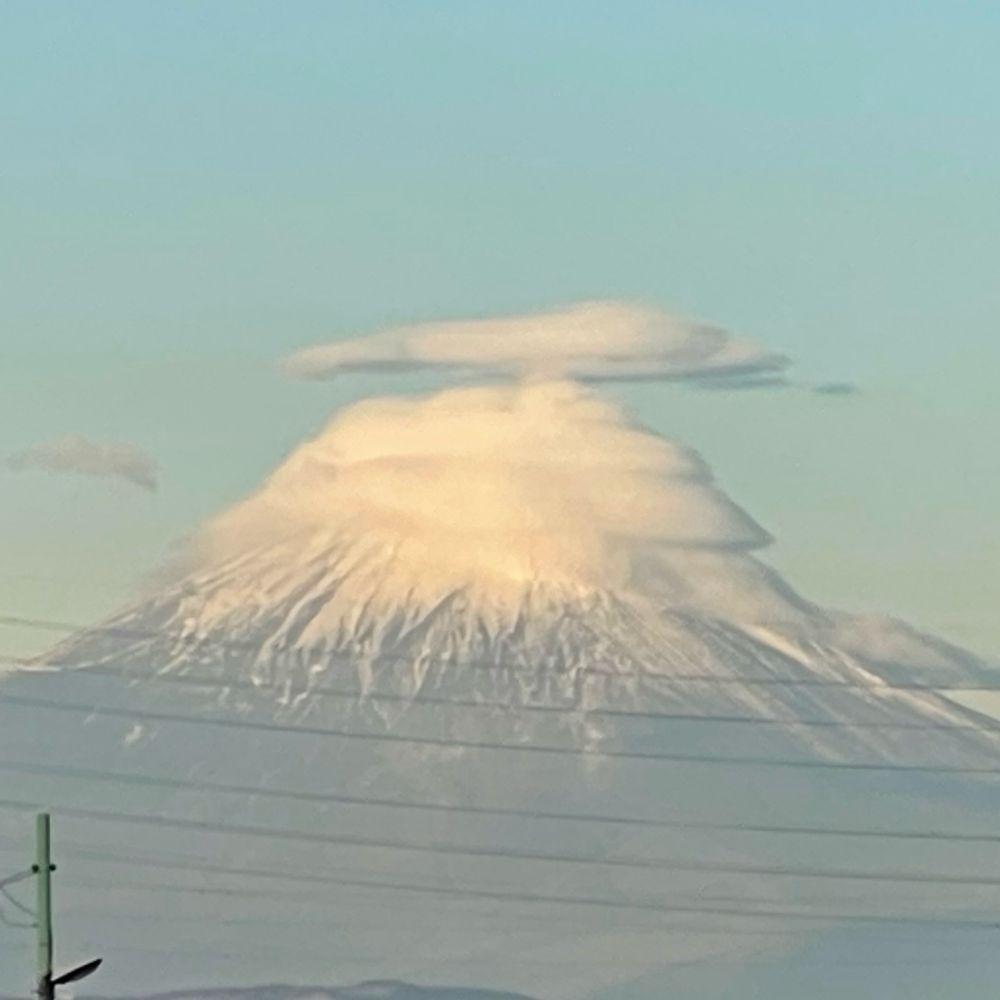 かい