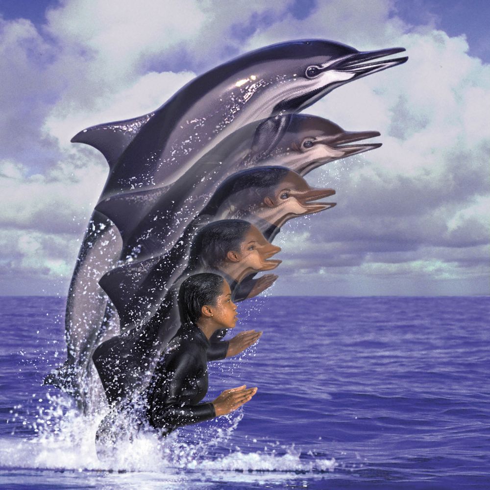 Animorphs Artist