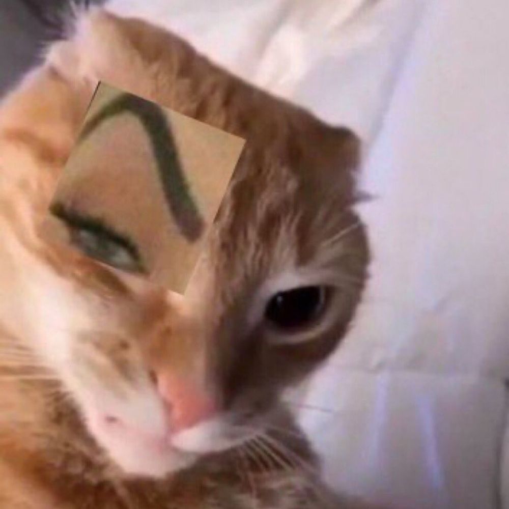 Ljpizzaa🦁
