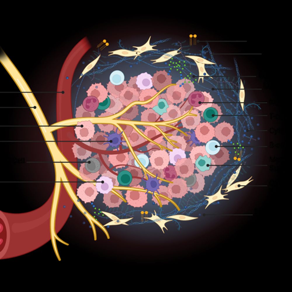 Garvan Institute Cancer Ecosystems Program