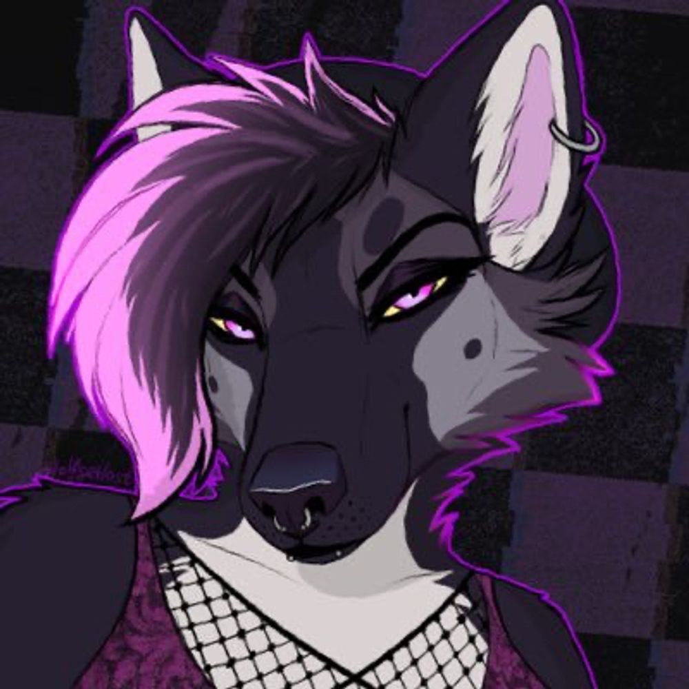 ✧ LIVIDK9 ✧