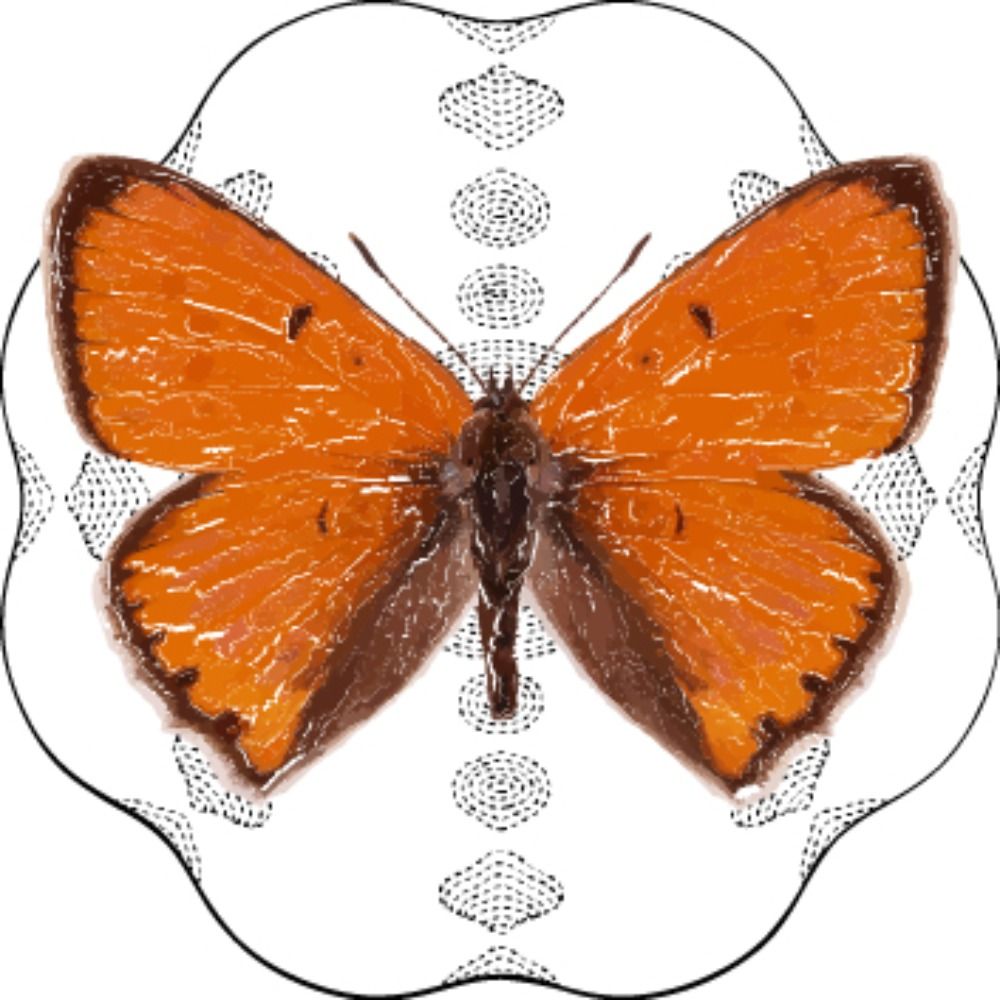 Nederlandse Entomologische Vereniging