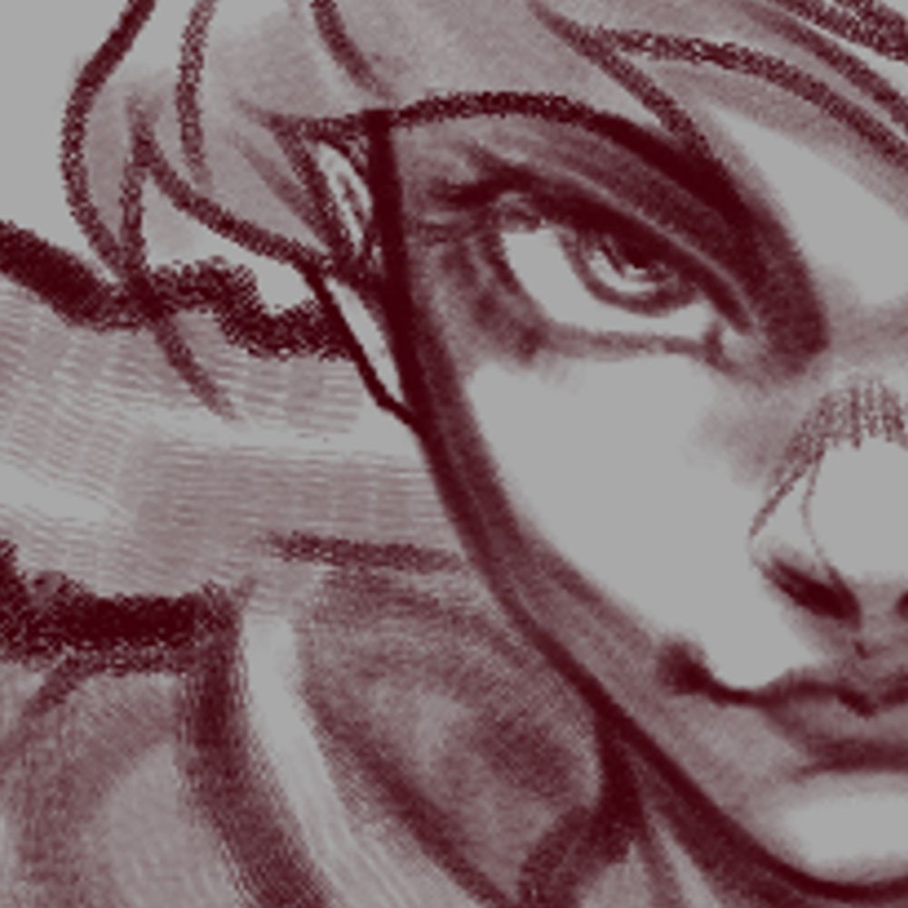 Shin 