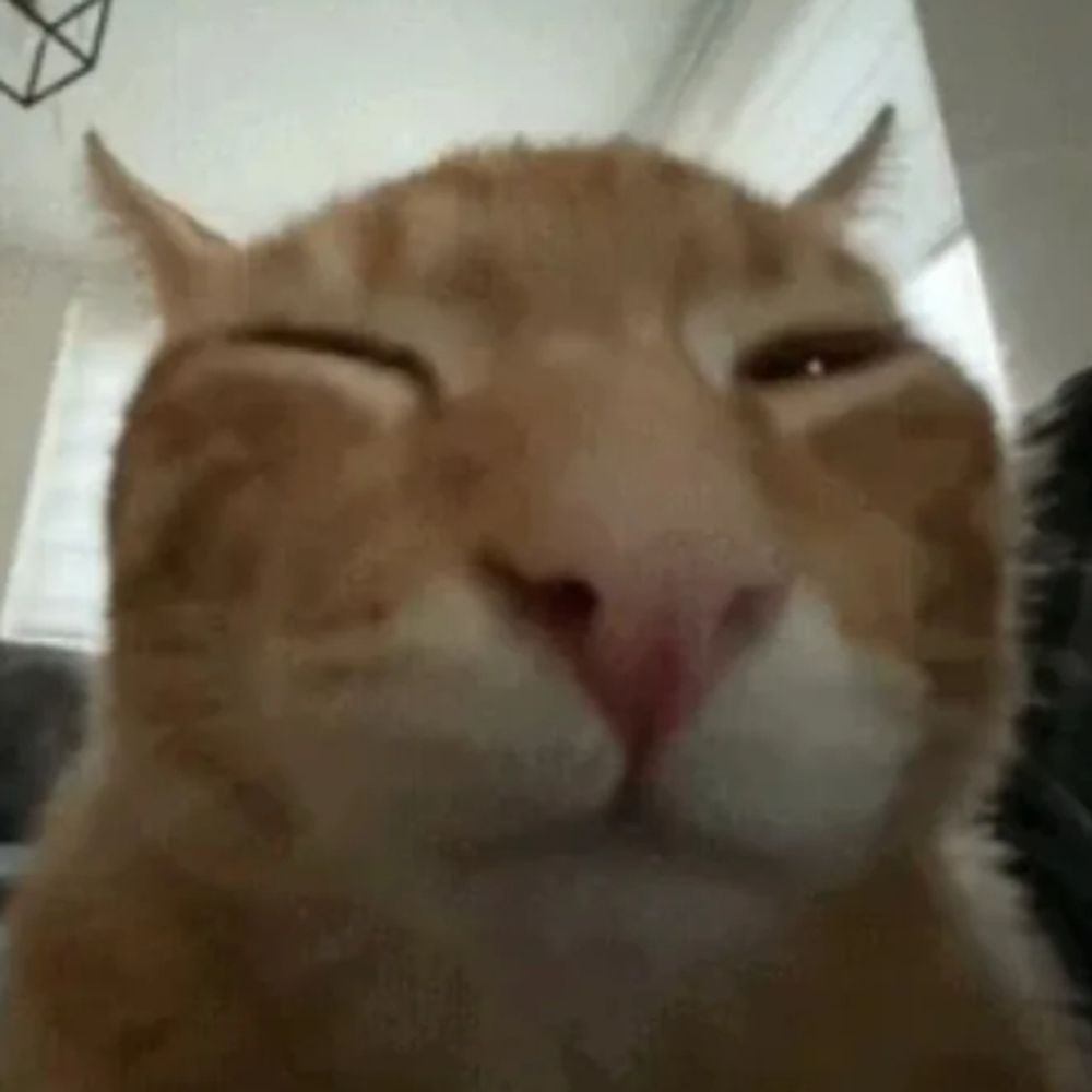 Actually Funny Memes