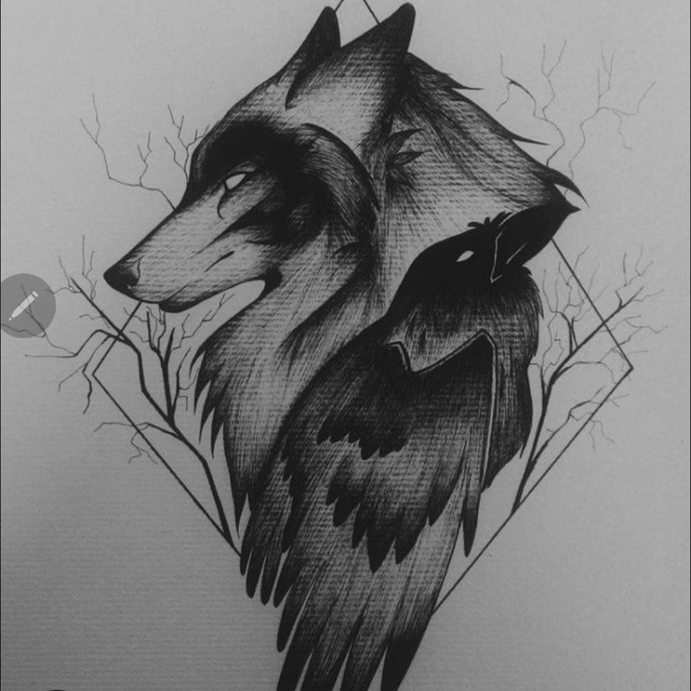 wolf23192.bsky.social profile picture