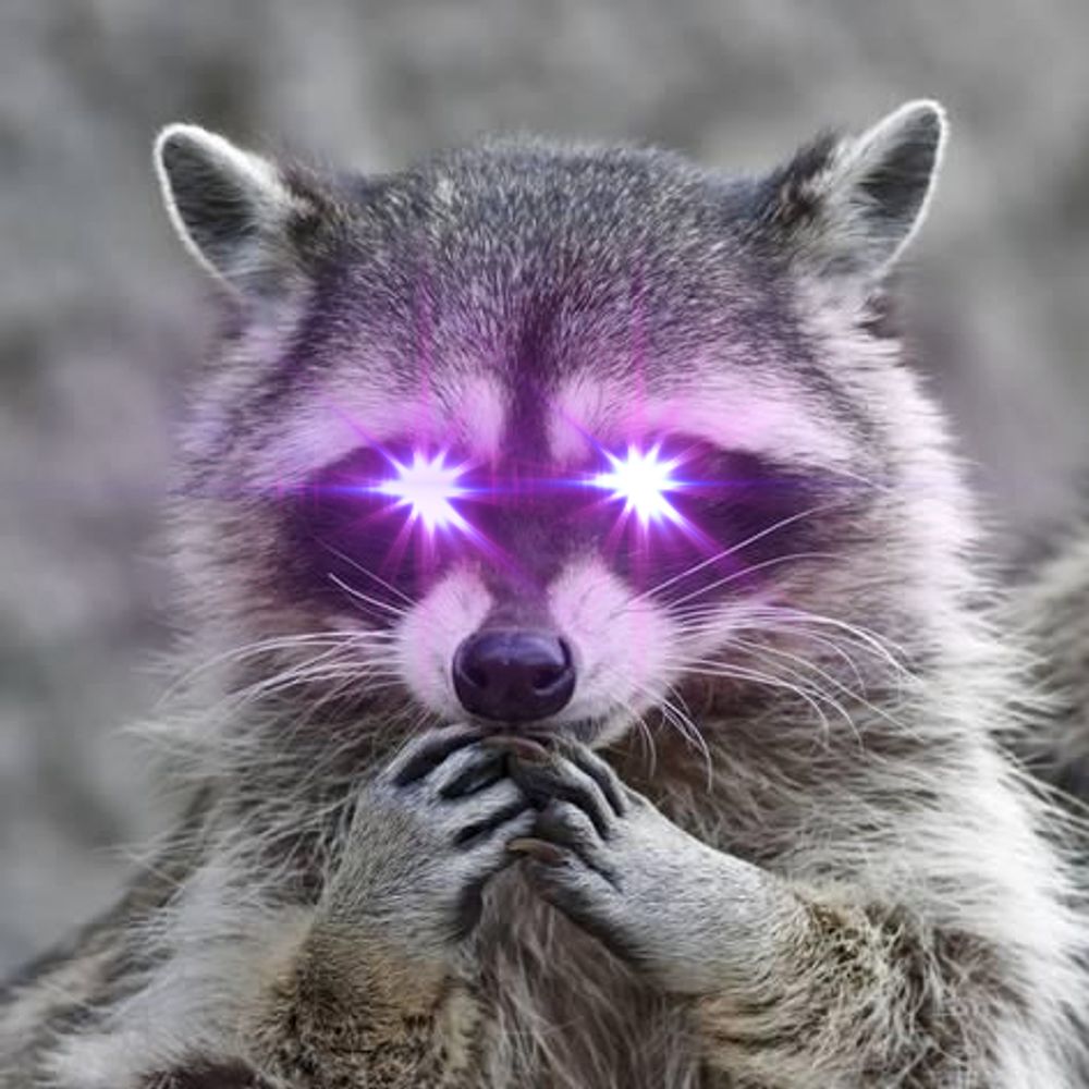 TrashRaccoonKing