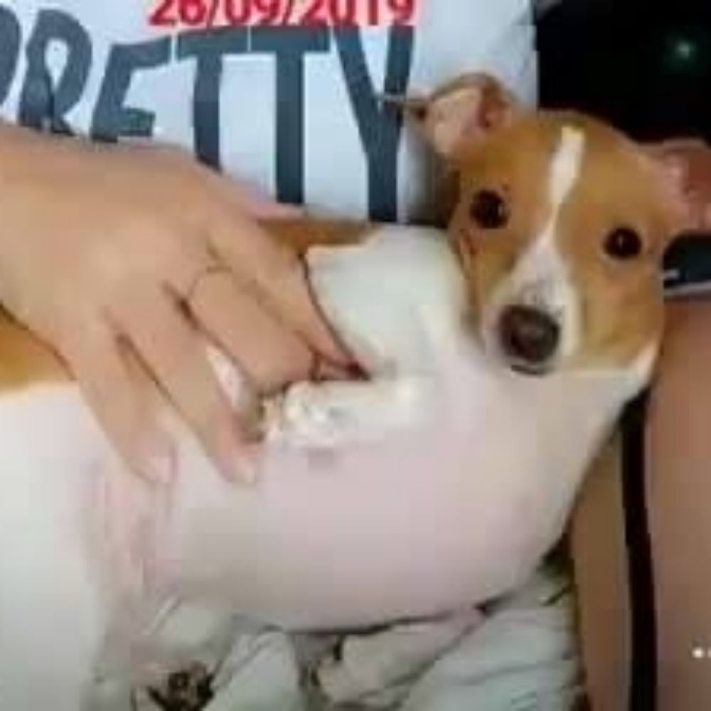 bitch that will die soon