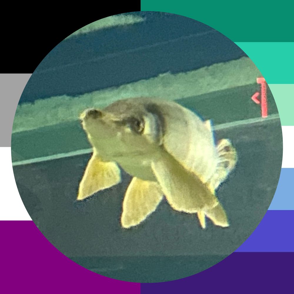 Gar🐟