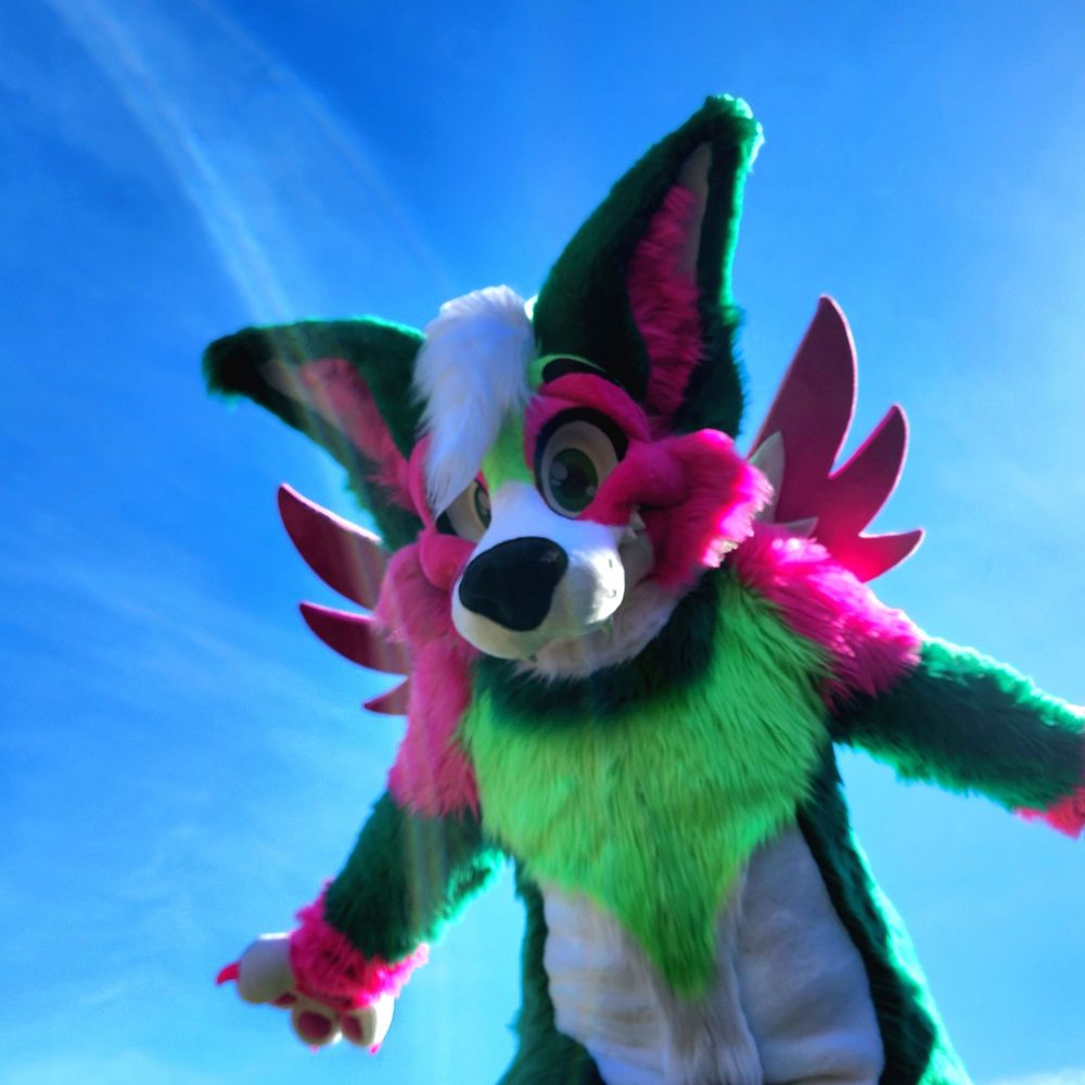 Melon Splash