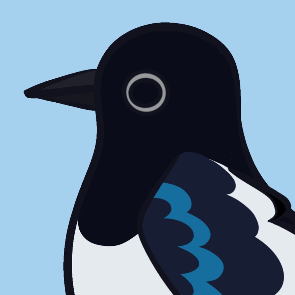 The Chattering Magpi