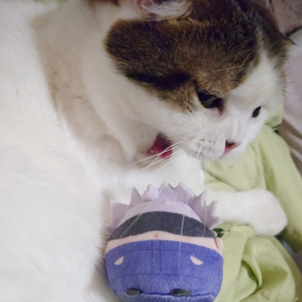 望月渚紗【猫のしもべ】