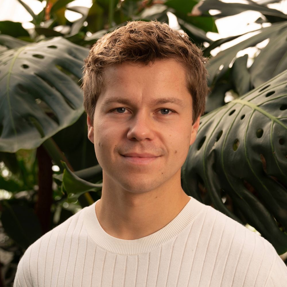 Tim Hartelt