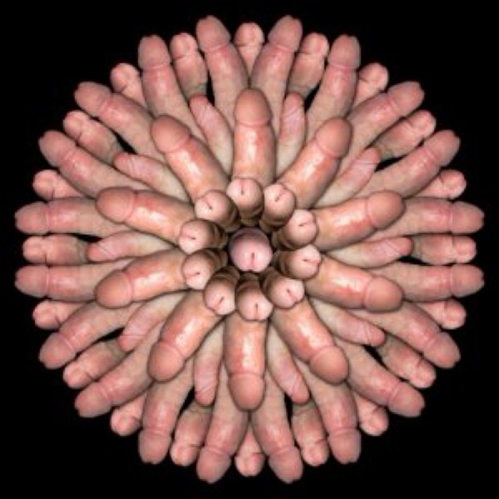 Penis Pig