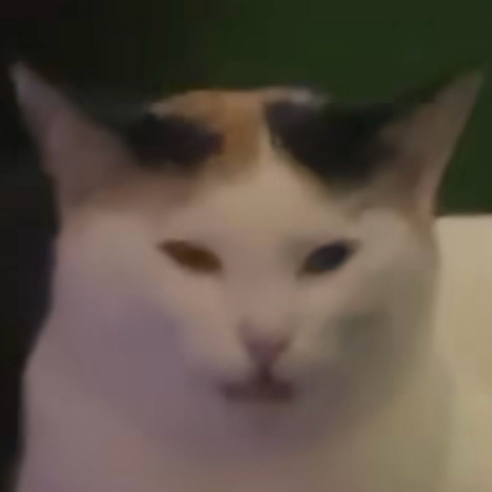 foxxof9