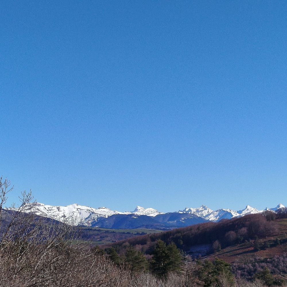 Sylva