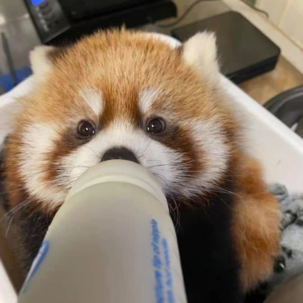 木内秀次郎