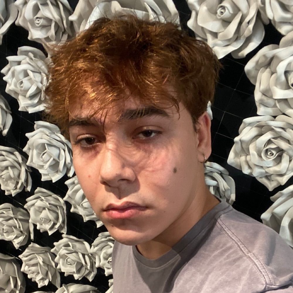 lu¡z rafael