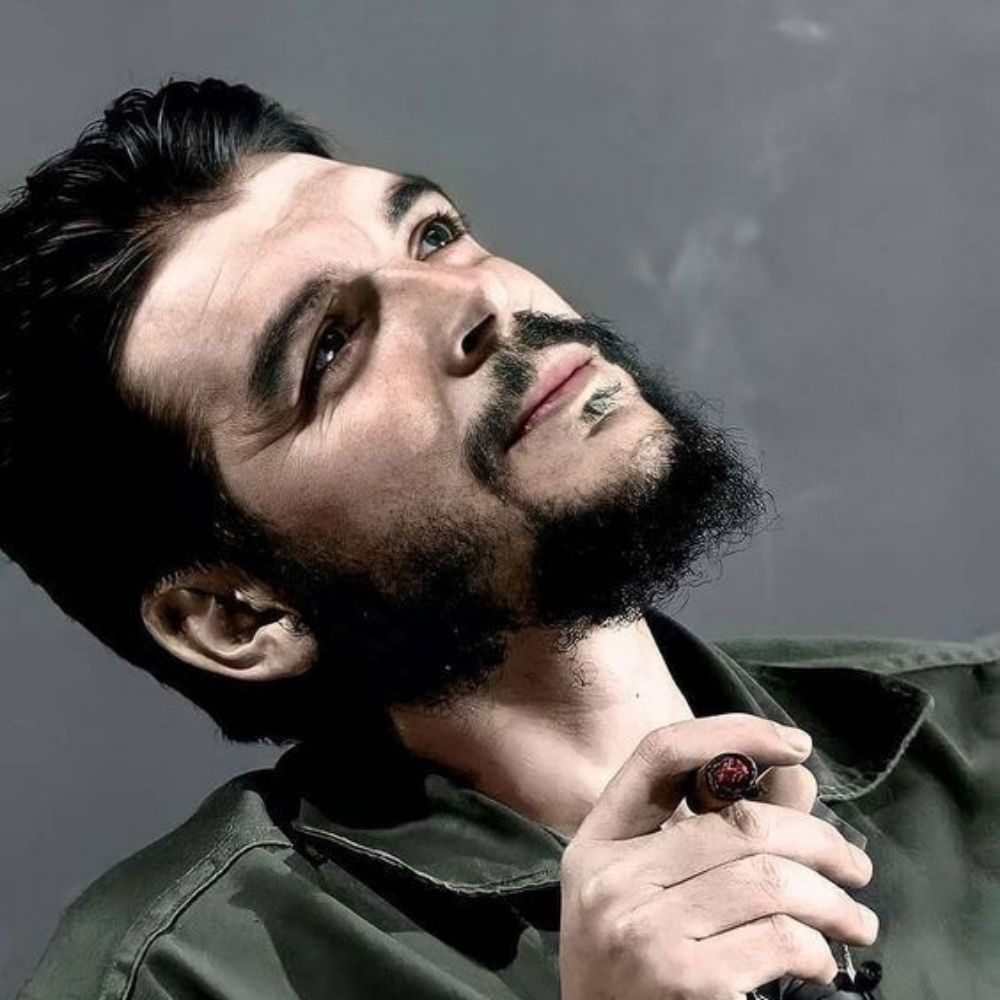 Camarada pierre