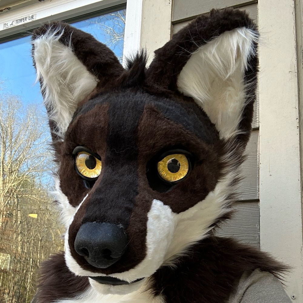 Azi MexyWolf ΘΔ