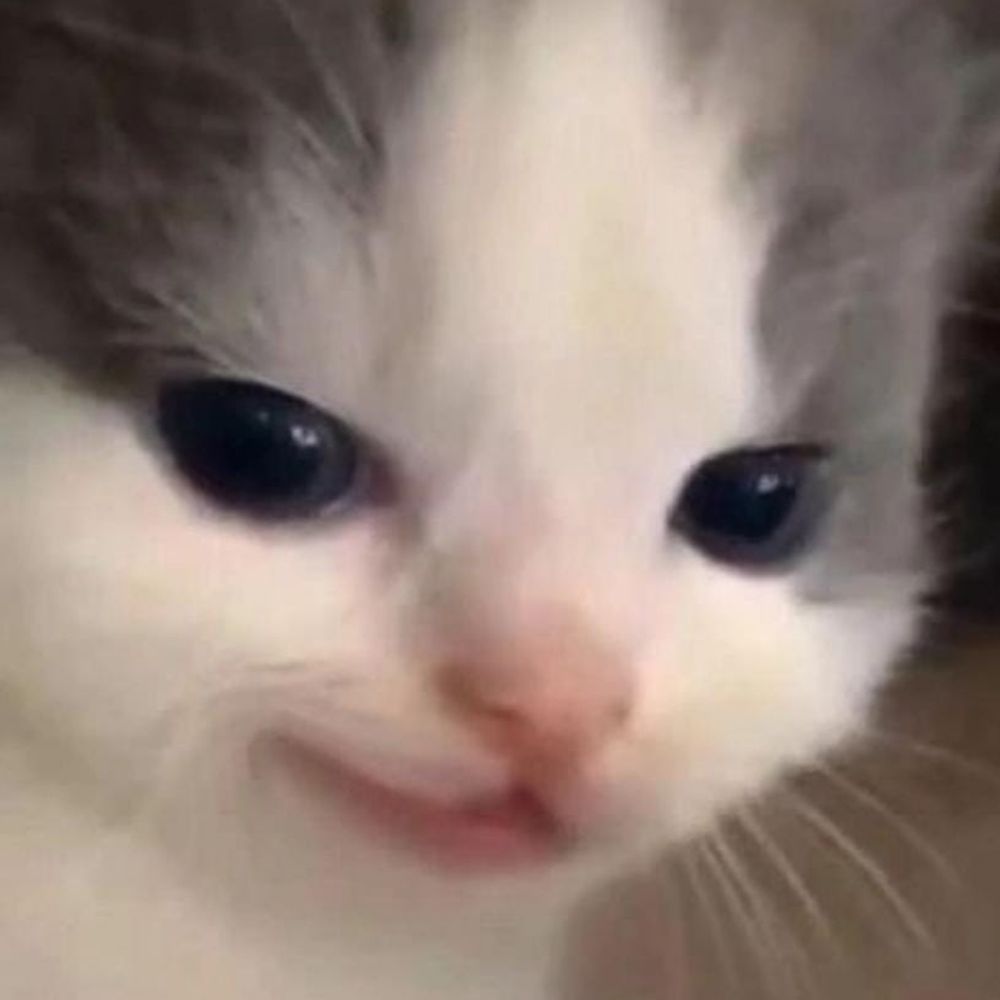 Haii✨️
