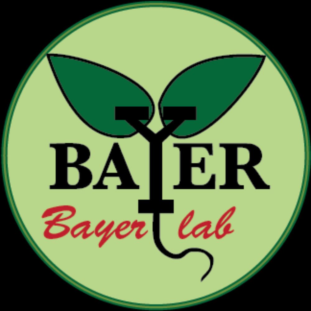 Bayer lab