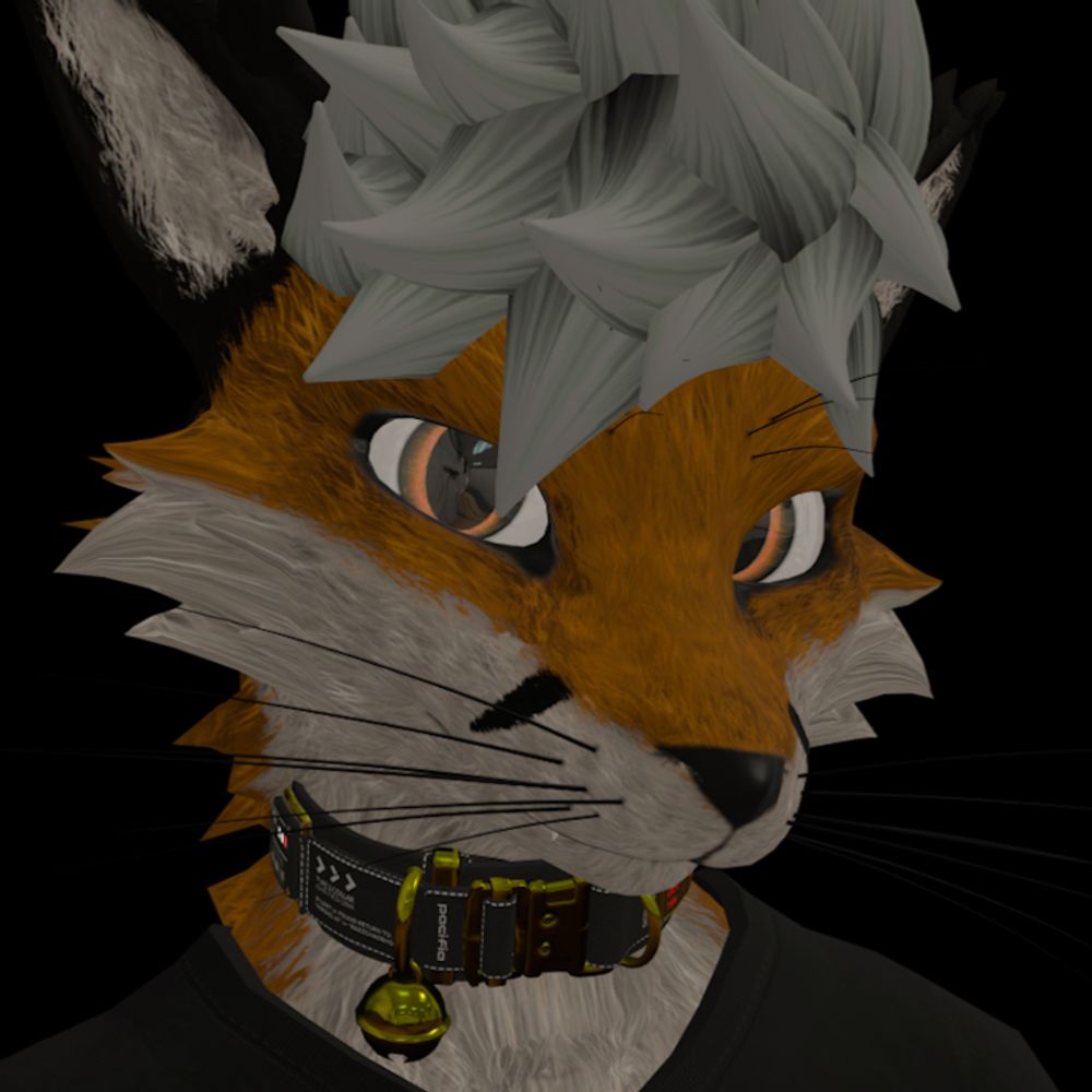 Matt Volpin 🦊