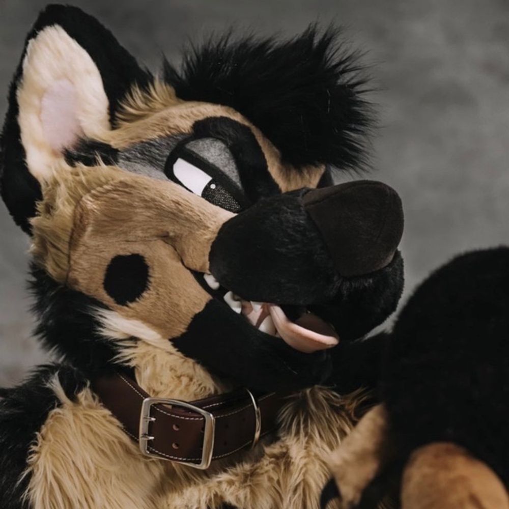Mixedcandy Inc