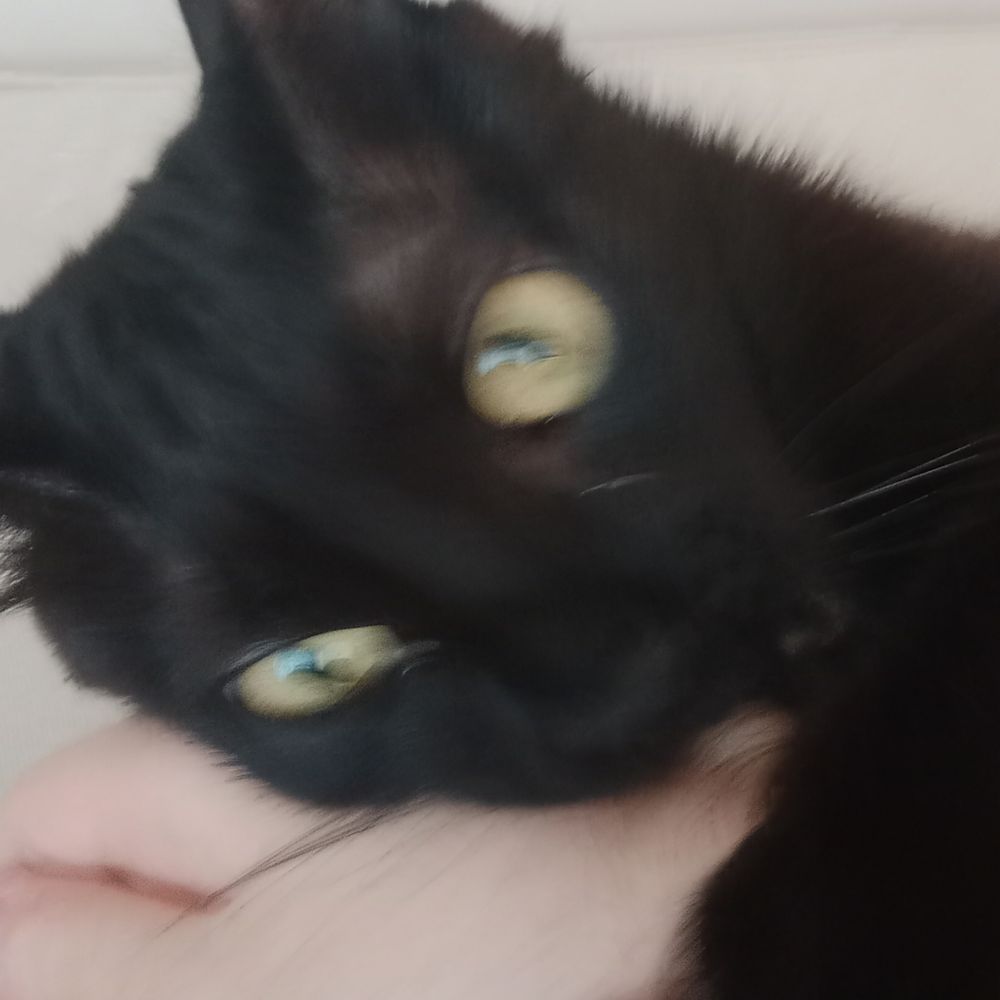 Simos 