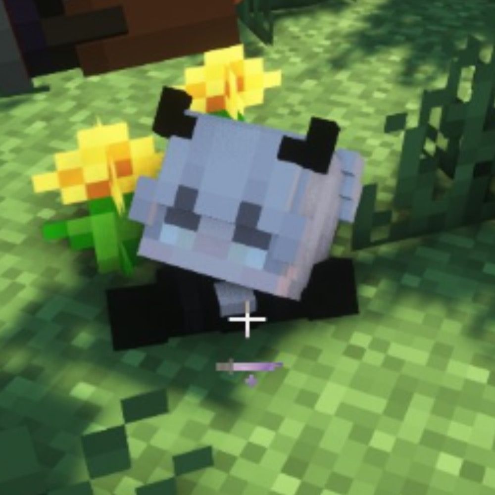 みそづけ