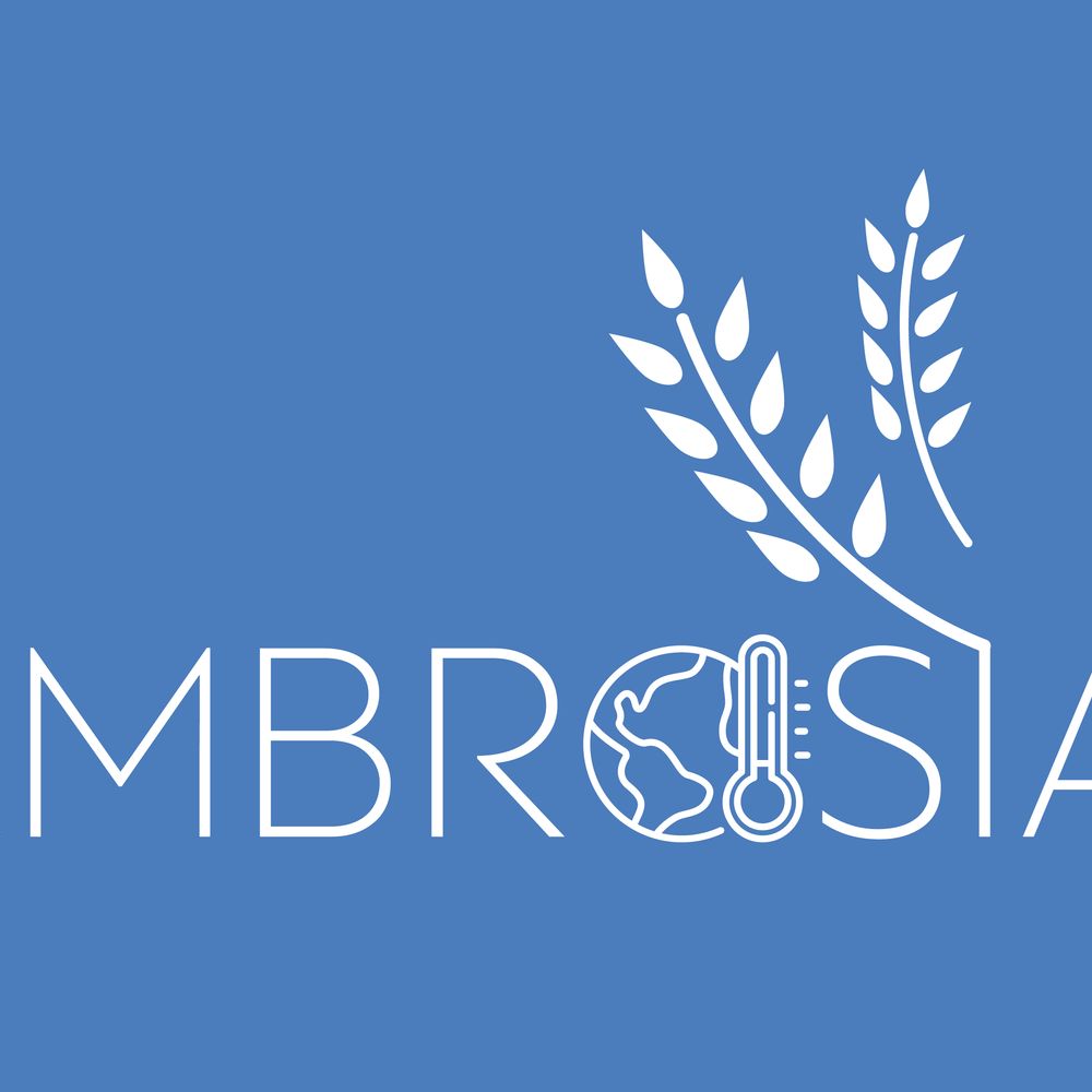 AMBROSIA project