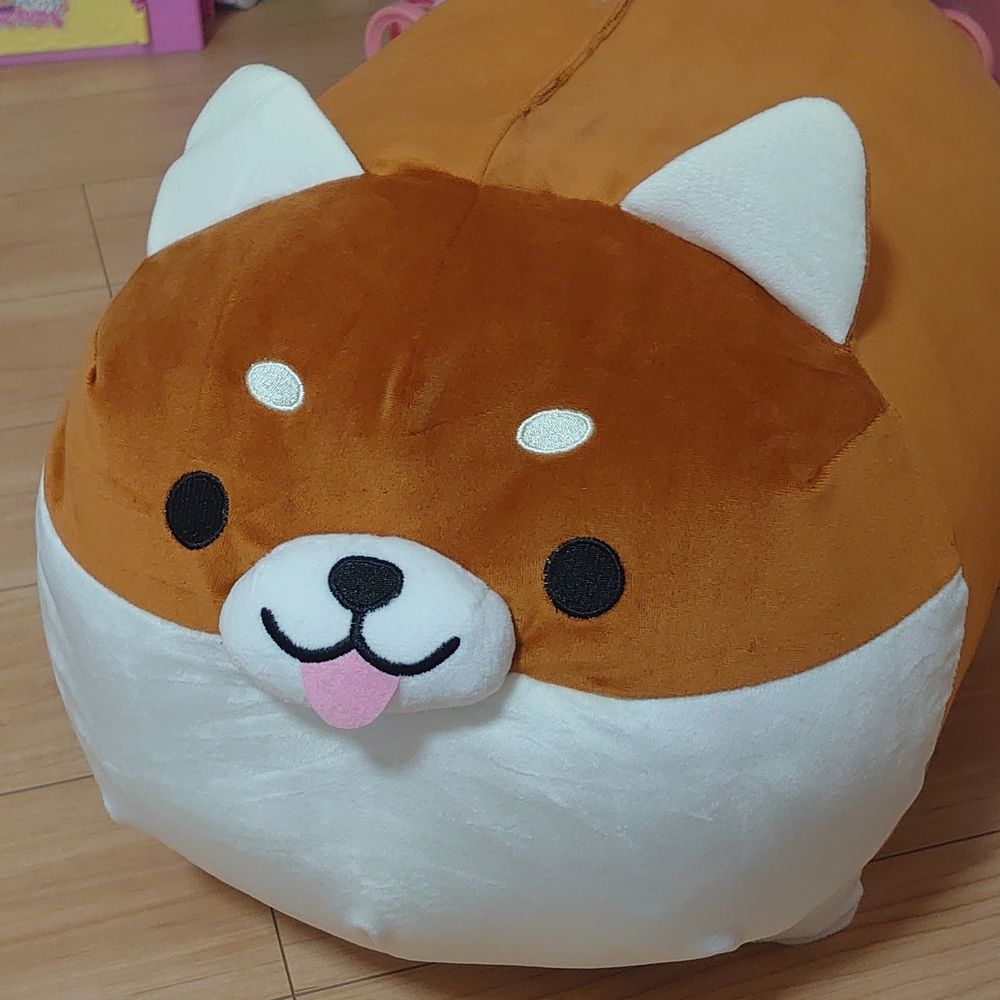 聖まよ