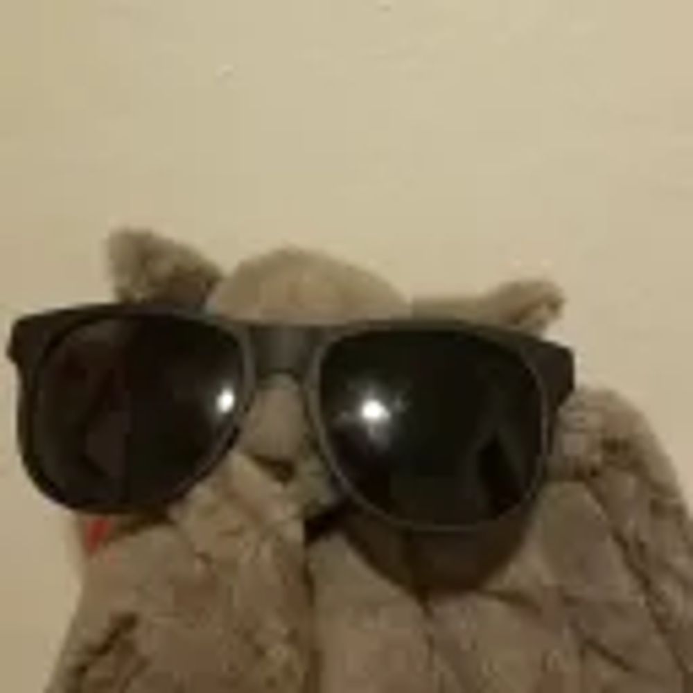Suji