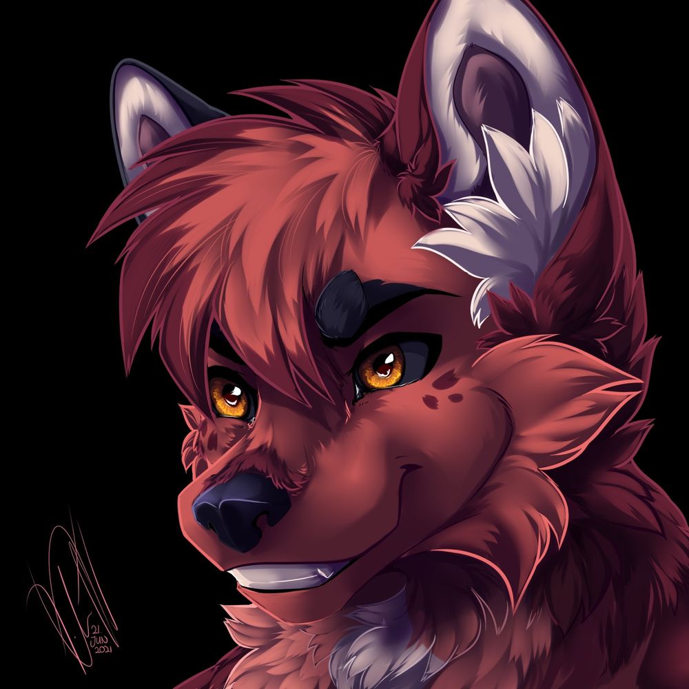 TheNiceWolf