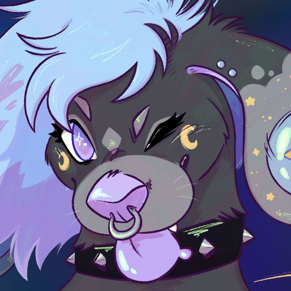 Starbit 🐶✨ 🔜 FWA, AC