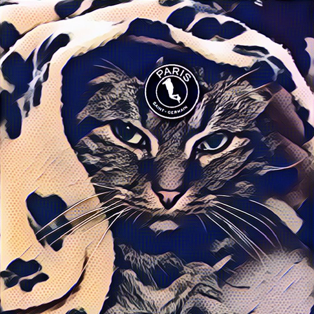 Le Chat 🇫🇷🇺🇦