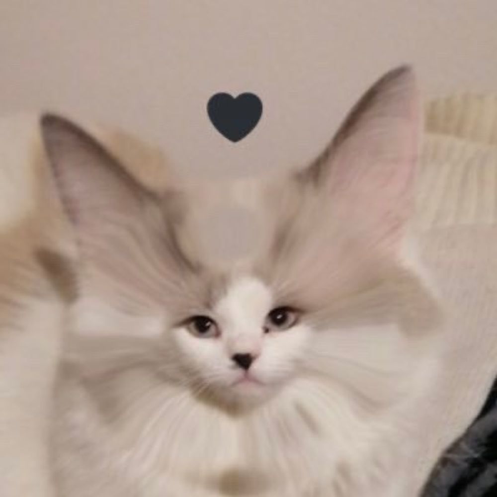цири💕🌈✨кейдец