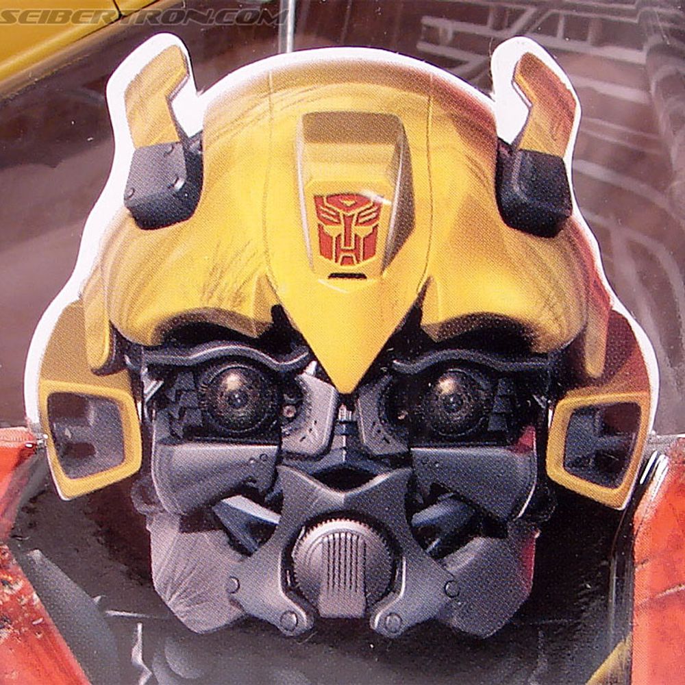 Bumblebuzz