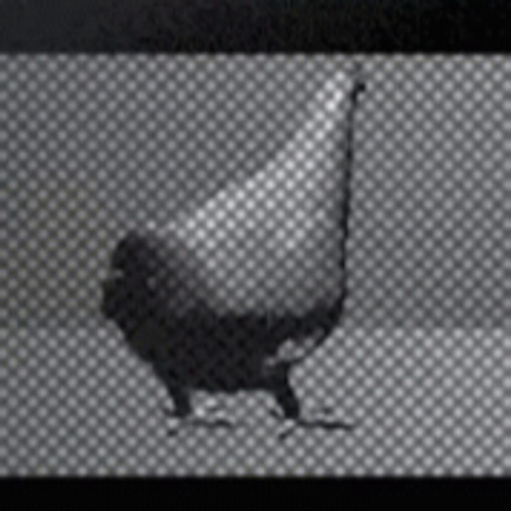 TotallyNotDumb