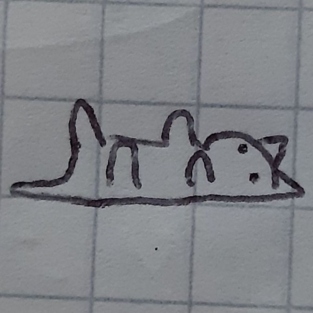 _유자_