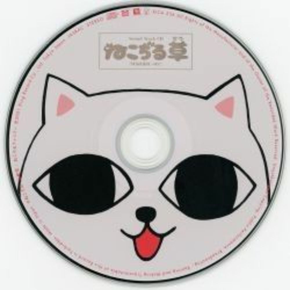Gatinhos todo dia
