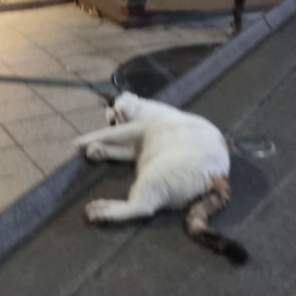 흠냐