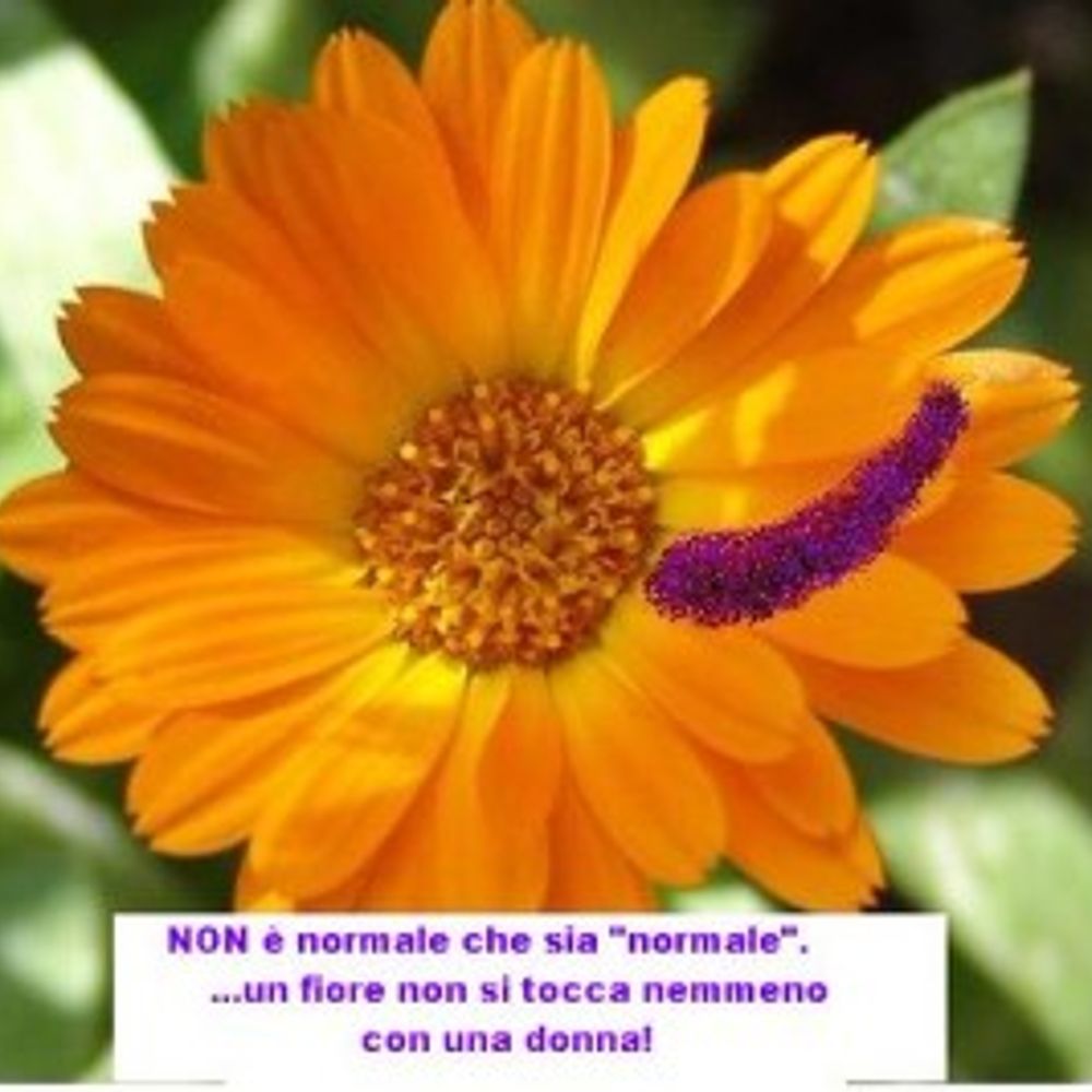 Alceste d'Aria