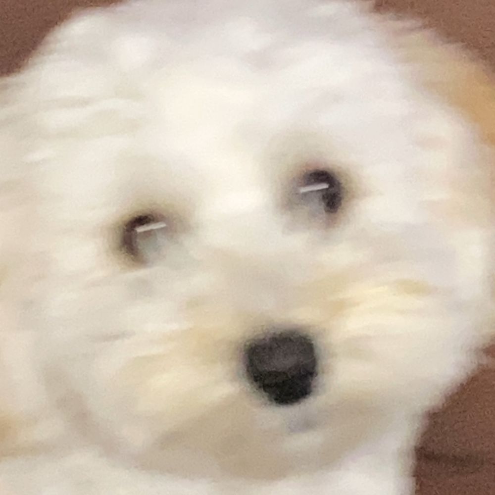 冷茶