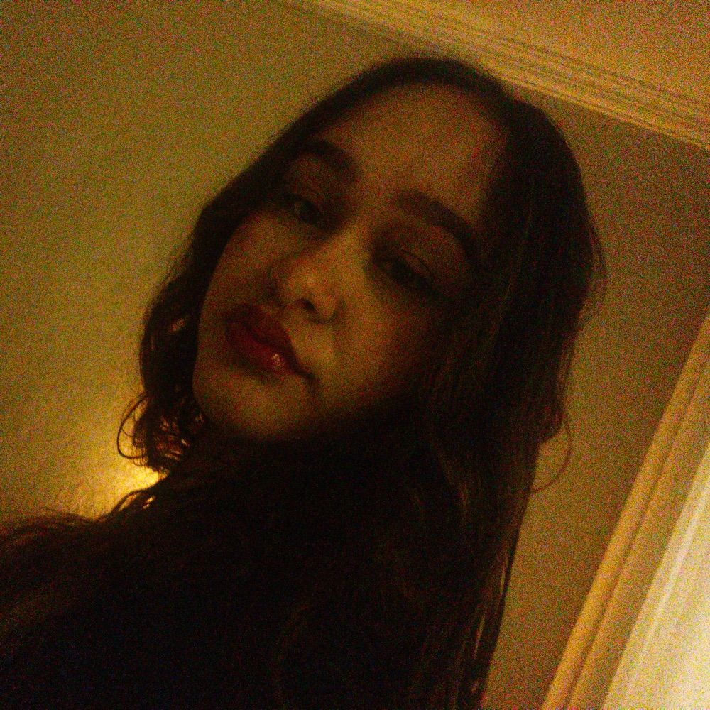 bea rs