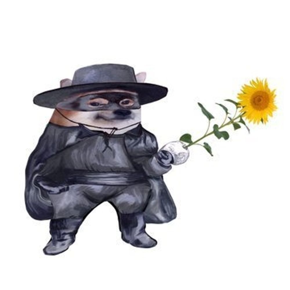 Zorro_Fella