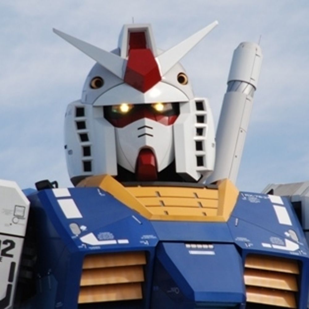 niraider