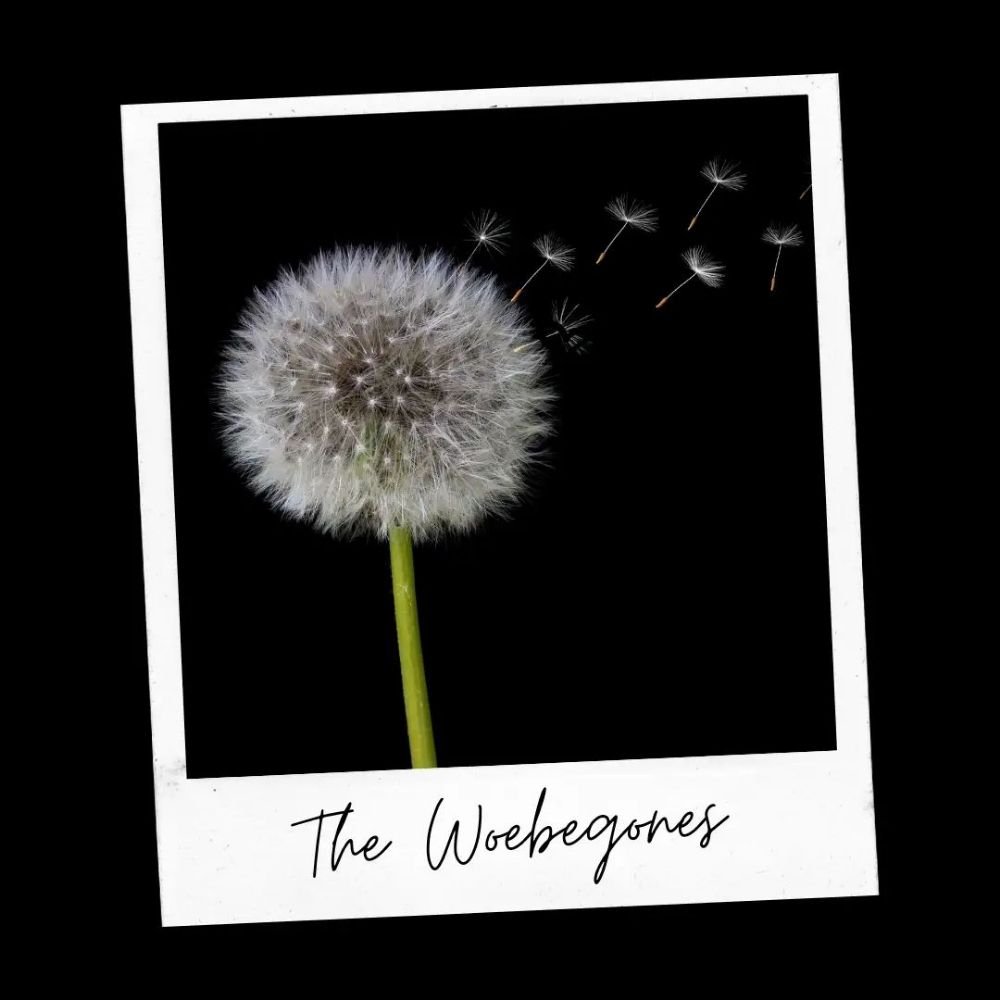 The Woebegones